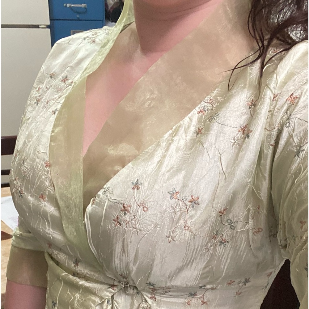 light green silk Top